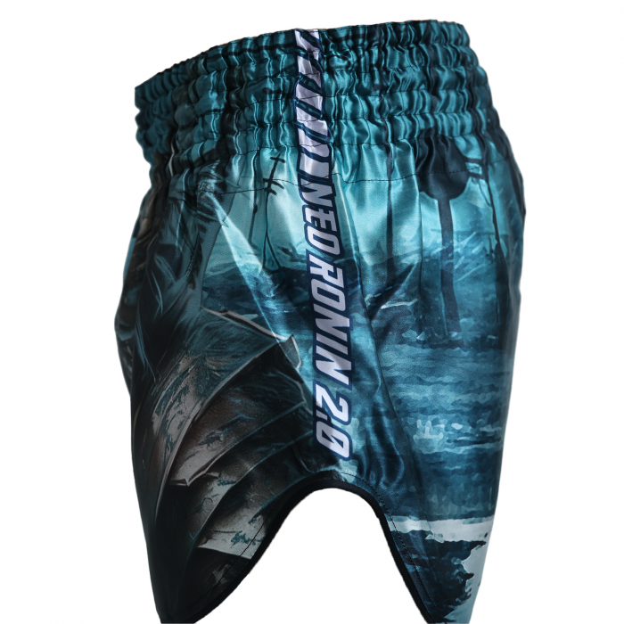 Short kickboxing ARMURA Neo Ronin 2.0 [3]