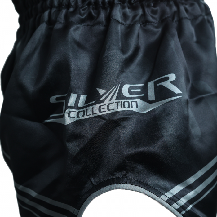 Short kickboxing ARMURA Silver [3]