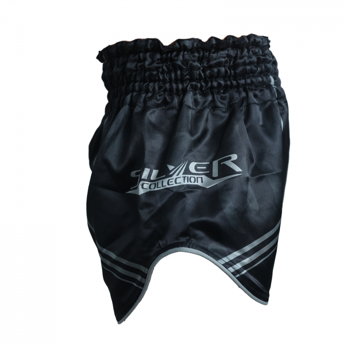 Short kickboxing ARMURA Silver [2]