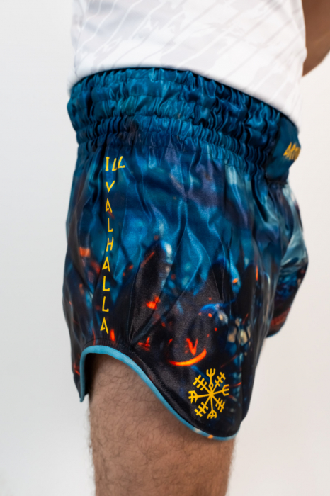 Short kickboxing Masculin ARMURA Berserker [3]