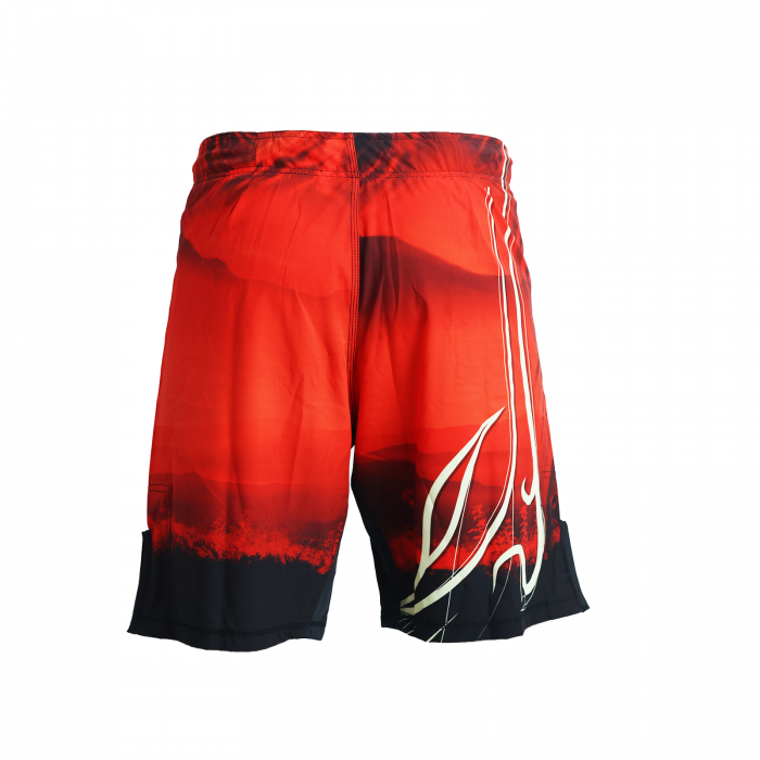 Short MMA ARMURA Bushido 3.0 [4]