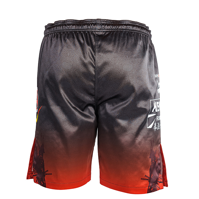Short MMA ARMURA Kempo [4]