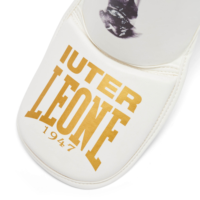 Tibiere Leone X Iuter Albe [5]