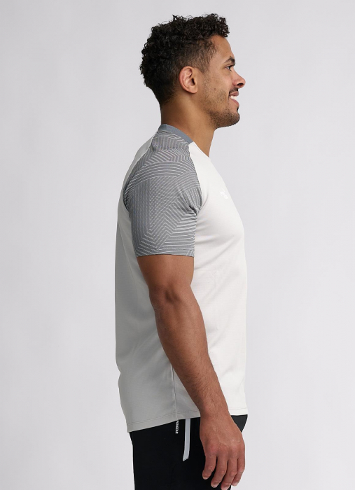 Tricou Ippon Gear Performance Gri [3]