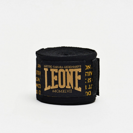 Fase de Box 3.5 metri Leone Legionarius [1]