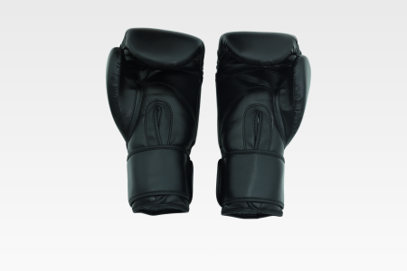 Manusi de box ARMURA Inceptos 2.0 Junior [1]
