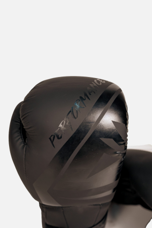 Manusi de Box ARMURA Performance Negre [1]