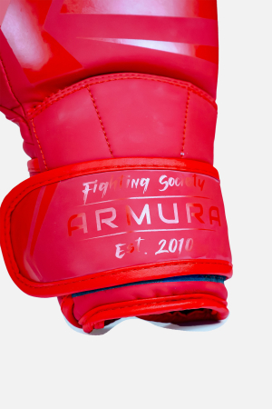 Manusi de Box ARMURA Performance Rosii [4]