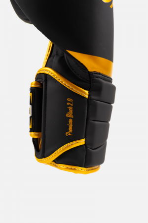 Mănuși de box ARMURA Premium Black 2.0 [3]