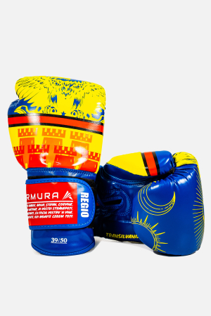 Manusi de Box - Manusi de Box ARMURA Regio Transilvania Galben/Albastru Editie Limitata