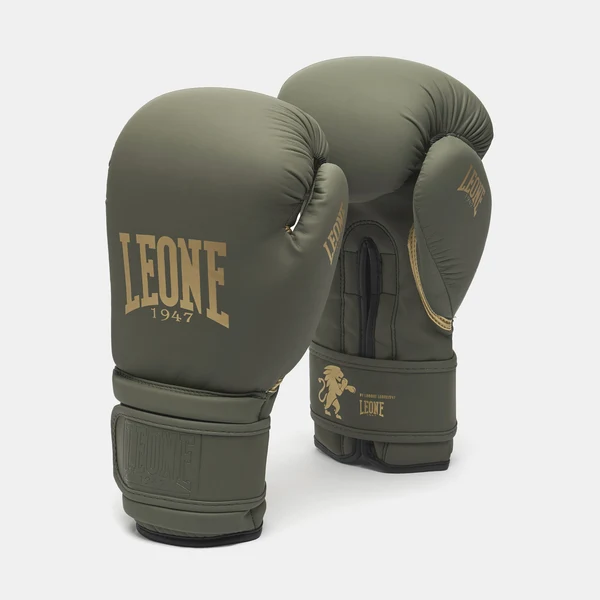 Noutăți - Manusi de Box Leone Verde