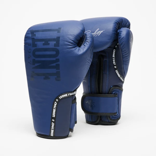 Noutăți - Manusi de Box Prodigy LEONE Albastre