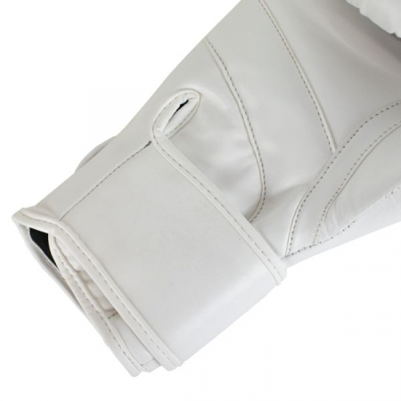 Manusi de Box Super Pro Combat Gear Champ [5]