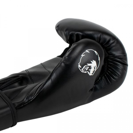 Manusi de Box Super Pro Combat Gear Champ [5]