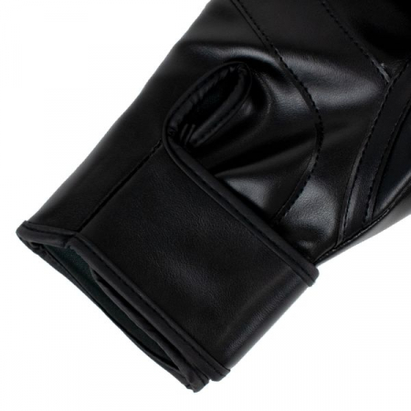 Manusi de Box Super Pro Combat Gear Champ [4]