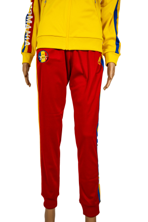 Pantaloni - Pantalon Trening Poliester Junioare Oficial FRCF