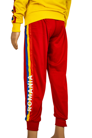 Pantalon Trening Poliester Masculin Oficial FRCF [2]