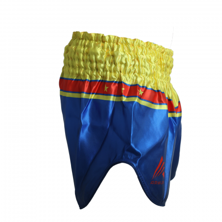 Short kickboxing ARMURA Honor et Patria 2.0 [4]