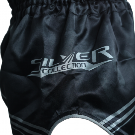 Short kickboxing ARMURA Silver [2]
