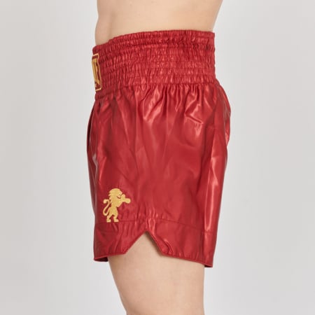 Short Kickboxing Leone Basic 2 Bordo [1]