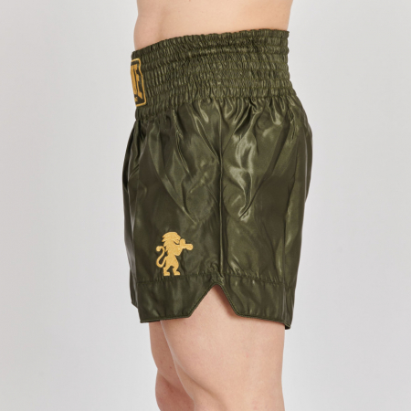 Short Kickboxing Leone Basic 2 Verde [2]