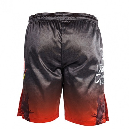 Short MMA ARMURA Kempo [3]