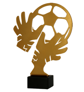 Cupe si Medalii - Trofeu BL-SOC3