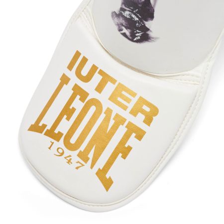 Tibiere Leone X Iuter Albe [4]