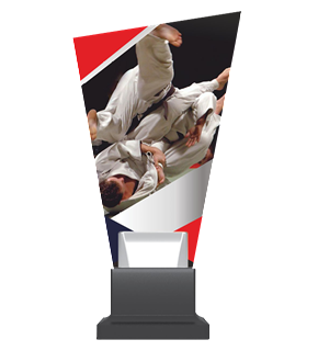 Figurine - Trofeu CG0/JUDO