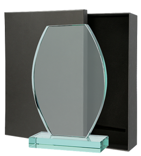 Cupe si Medalii - Trofeu G043