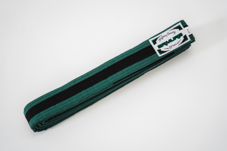 Casti Arte Martiale - Centura BJJ Praetorian ARMURA Verde/Negru/Verde