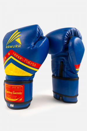 Toate Sporturile - Manusi de box ARMURA Honor et Patria 2.0