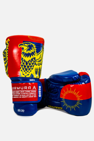 Manusi de Box - Manusi de Box ARMURA Regio Muntenia Albastru/Rosu Editie Limitata