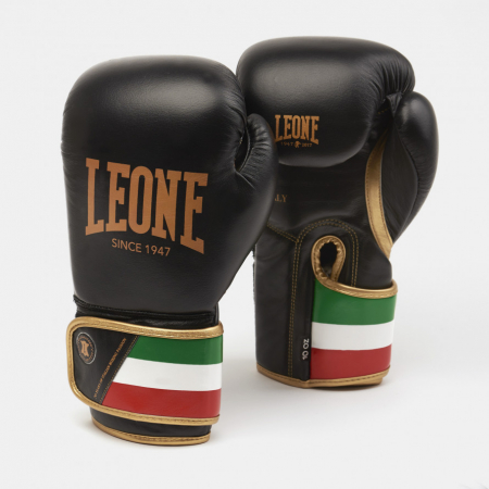 Toate Sporturile - Manusi de Box Leone Italy Negre