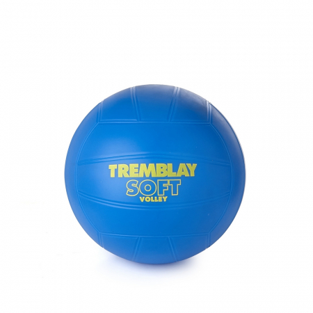 Toate Sporturile - Minge de Volei Albastra