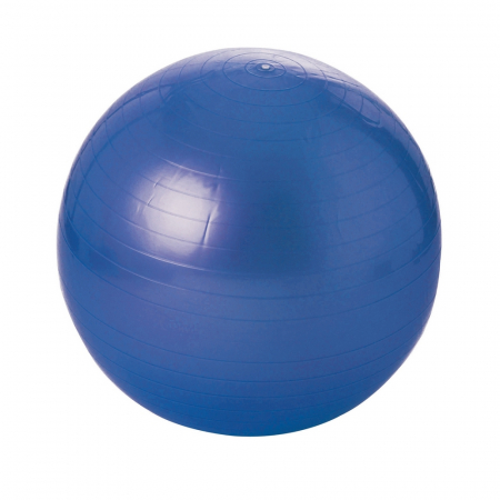 Fitness - Minge Fitness 55 cm