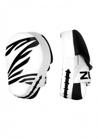Palmare si PAO Arte Martiale - Palmare Zebra Fitness Albe