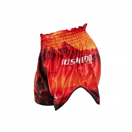 Noutati - Short kickboxing ARMURA Bushido 3.0 Junior