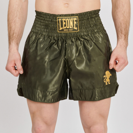 Reduceri - Short Kickboxing Leone Basic 2 Verde