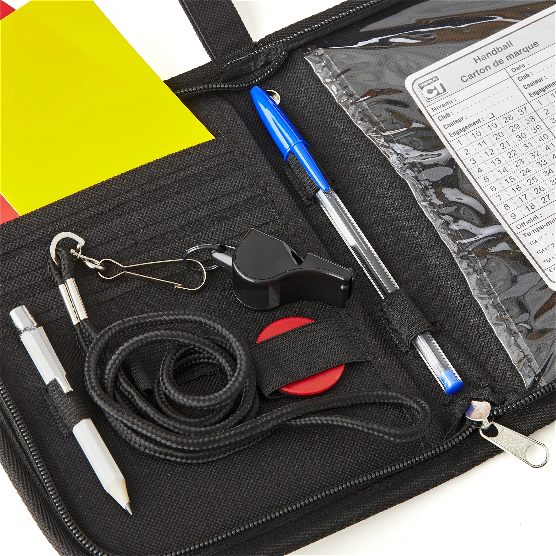 Portofoliu pentru Arbitru de Handbal [2]