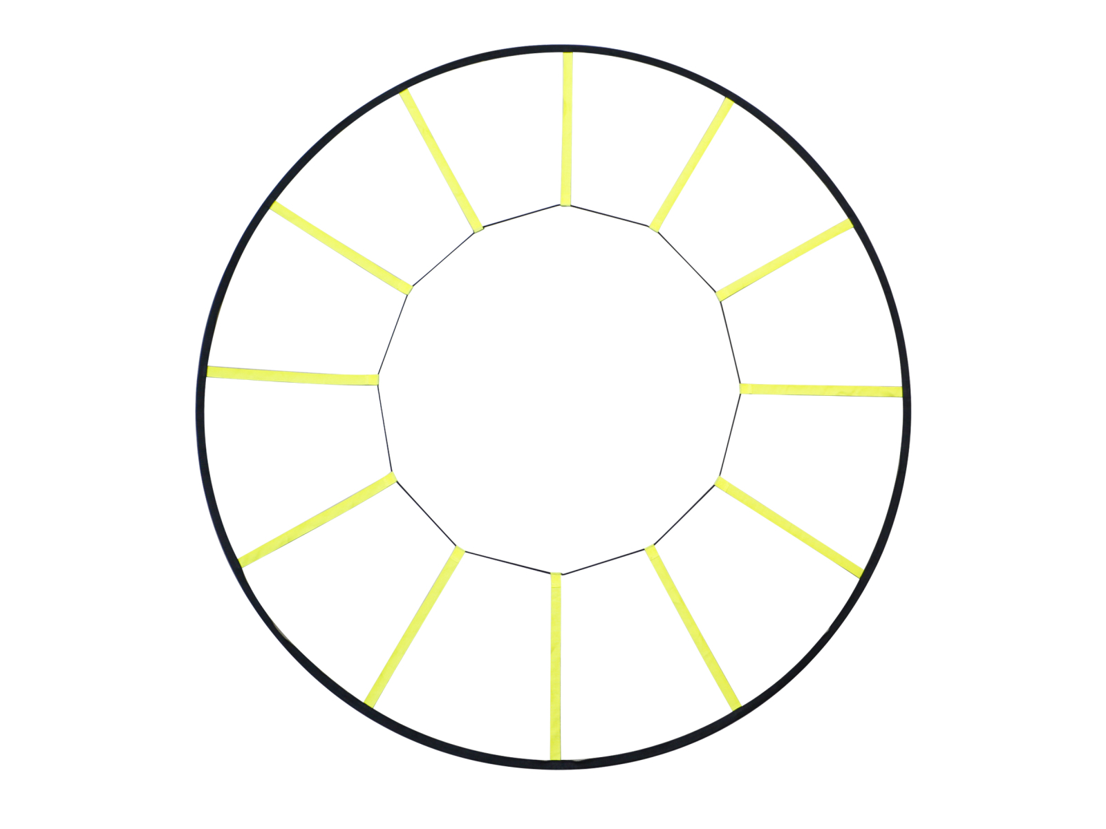 Scara /Cerc de Agilitate [2]