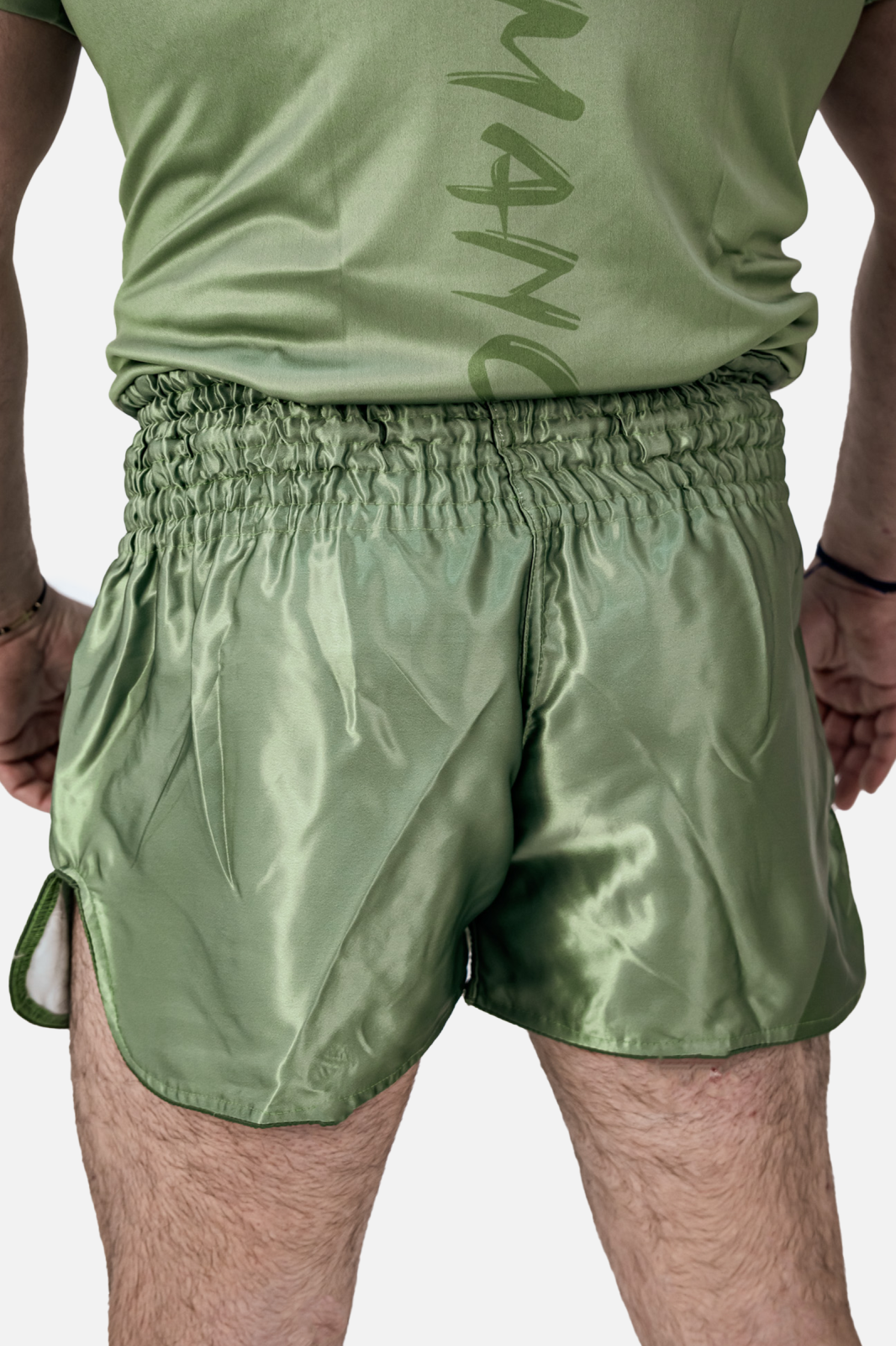 Short ARMURA Performance Verde Seniori [3]