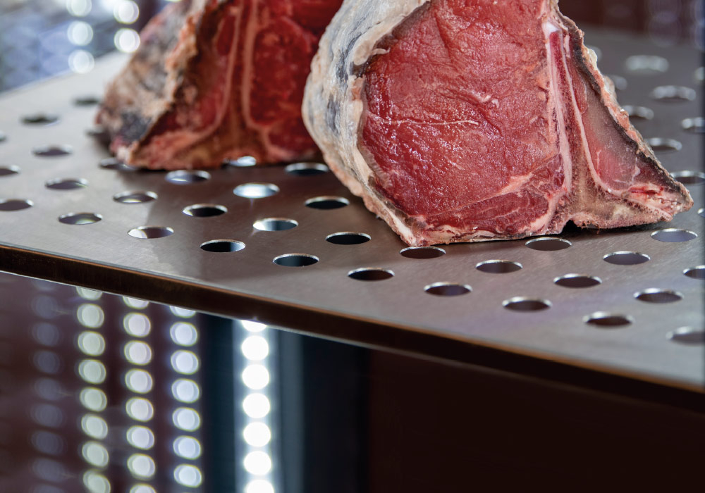 Vitrina Panoramica Maturare Carne Vita 400 LT [6]