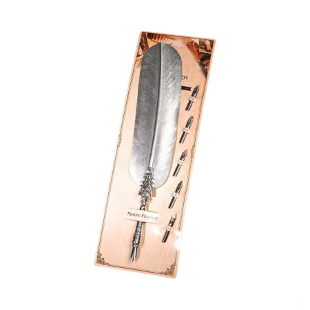 Instrumente de scris premium - Set simplu pana naturala cu 5 capete penite