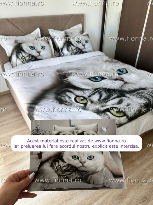 Lenjerii Din Finet Premium - Pisici Turkish Angora Si European Shorthair [2]