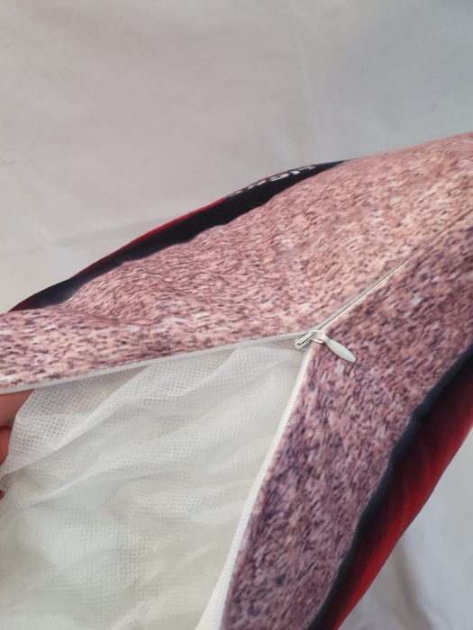 Perna Decorativa 50x50cm - Frozen [4]