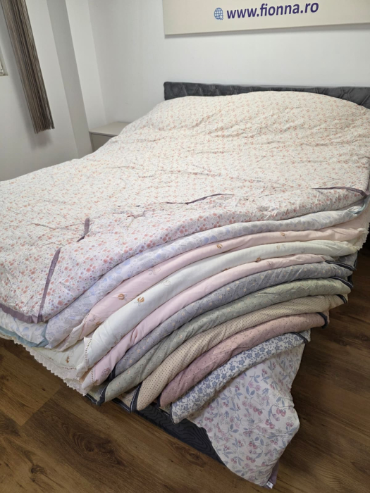 Pilota Cu Broderie Sau Banda Aplicata 200x230cm - Model Aleatoriu [16]