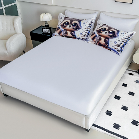 Lenjerie De Pat Finet 6 Piese Cu Elastic 5D - Ratonul Dragalas Pe Zapada [1]