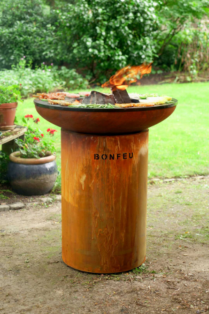 Grătar cu plită BonBiza [1]