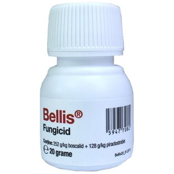 Fungicide - Fungicid - Bellis